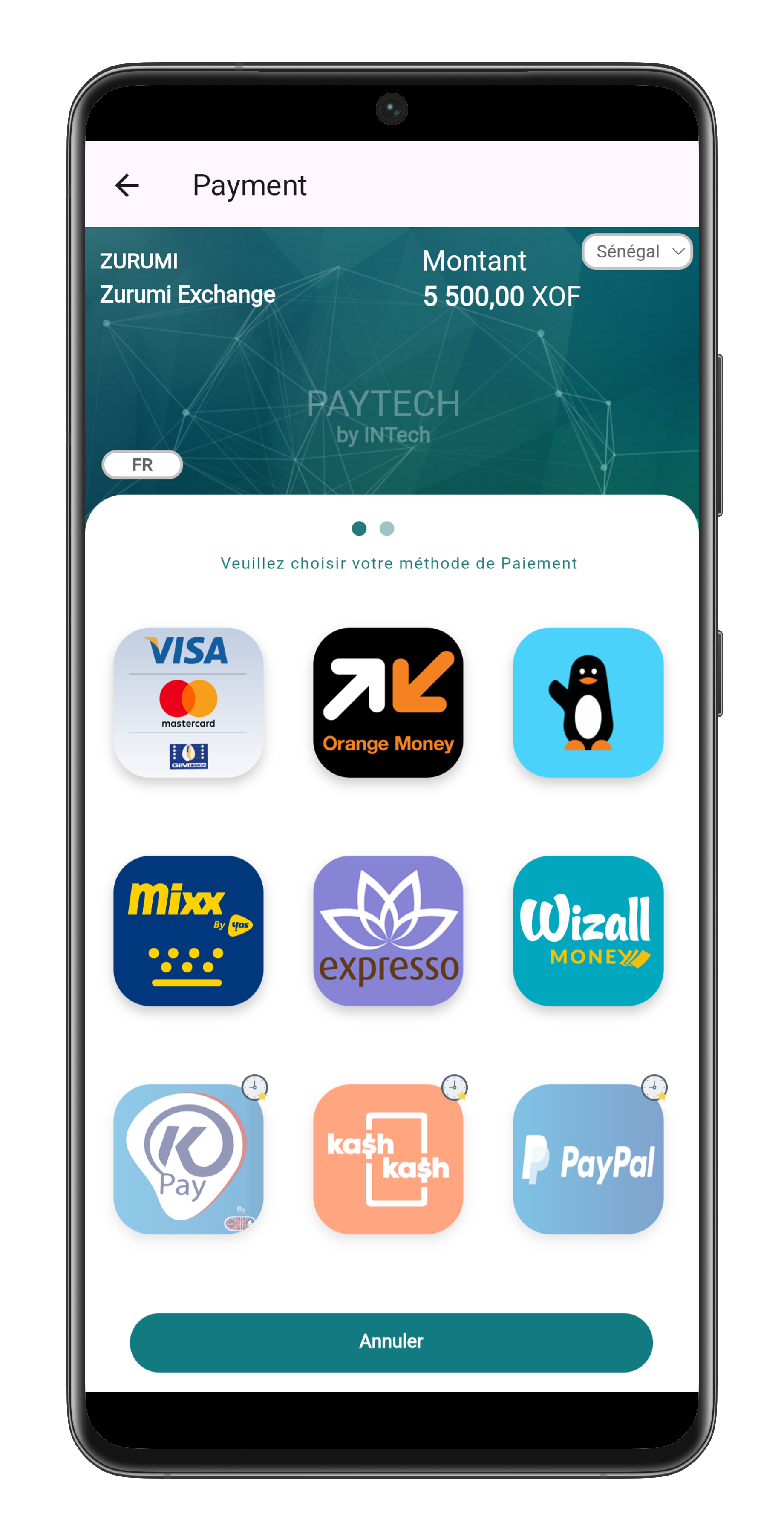 Présentation Zurumi